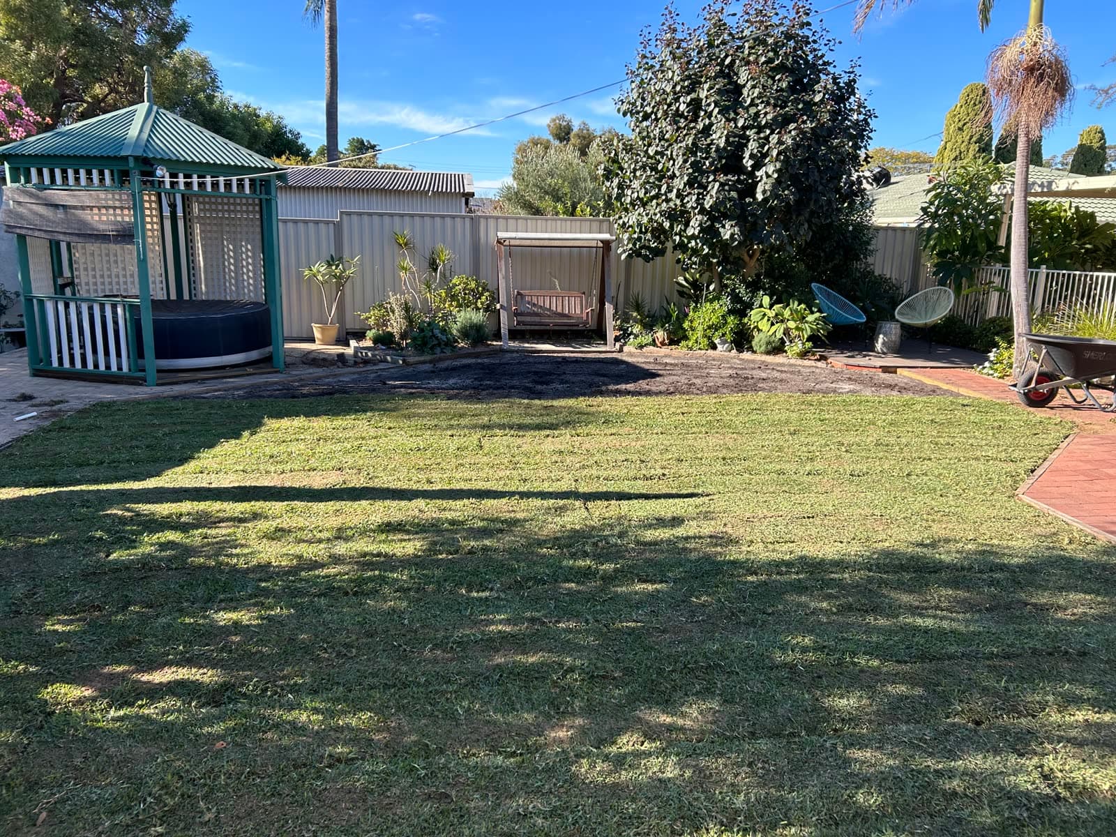 Lush, even lawn after Tidy Gardens care.